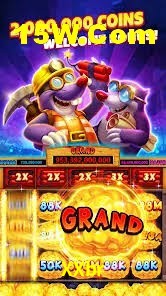 Live Casino XXbr